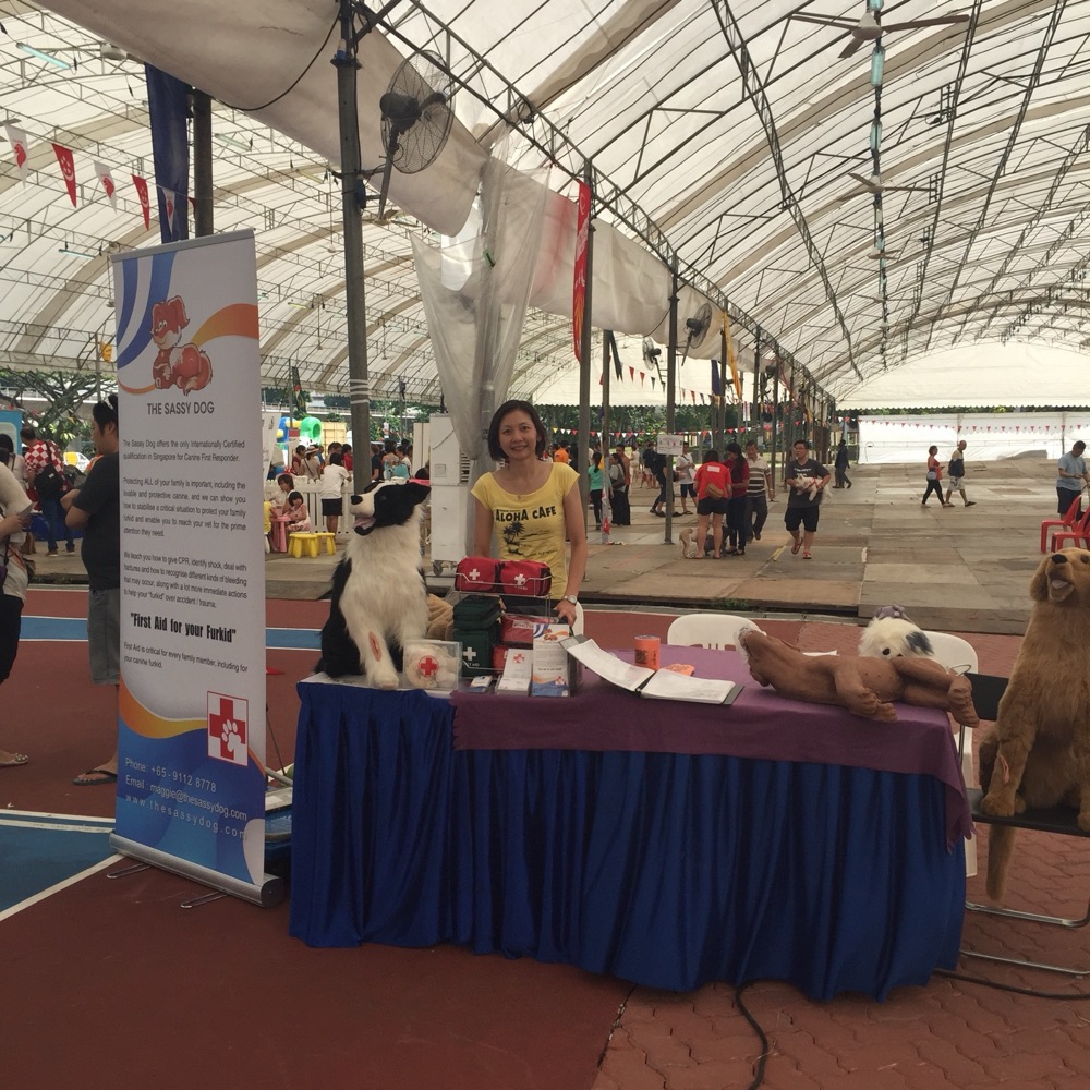 Dog First Aid’s stage talk at the Nee Soon GRC Pet Fiesta, August 2015