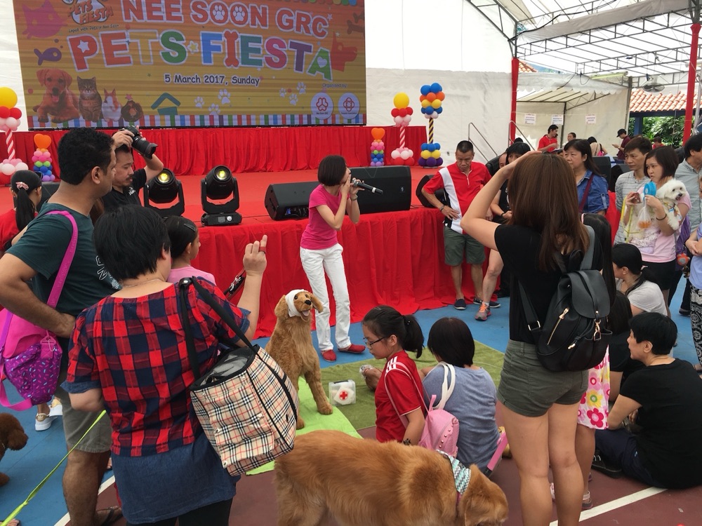 Dog CPR demonstration by Dog First Aid at the Nee Soon GRC Pet Fiesta, March 2017