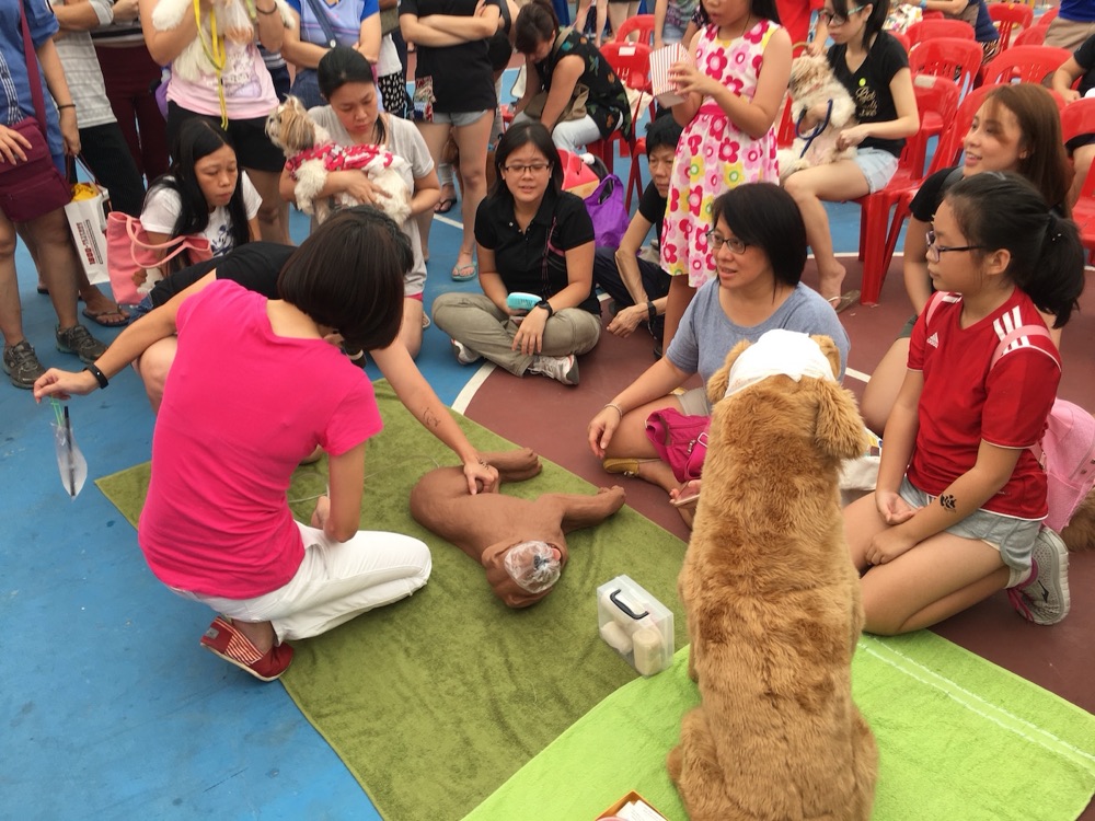 Dog CPR demonstration by Dog First Aid at the Nee Soon GRC Pet Fiesta, March 2017