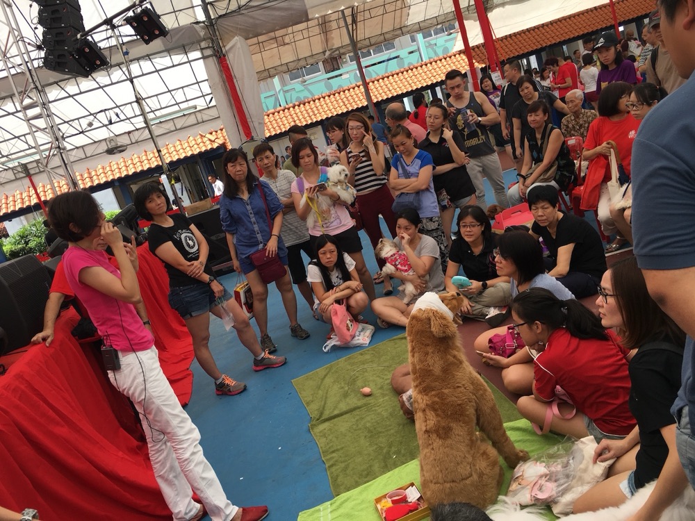 Dog CPR demonstration by Dog First Aid at the Nee Soon GRC Pet Fiesta, March 2017