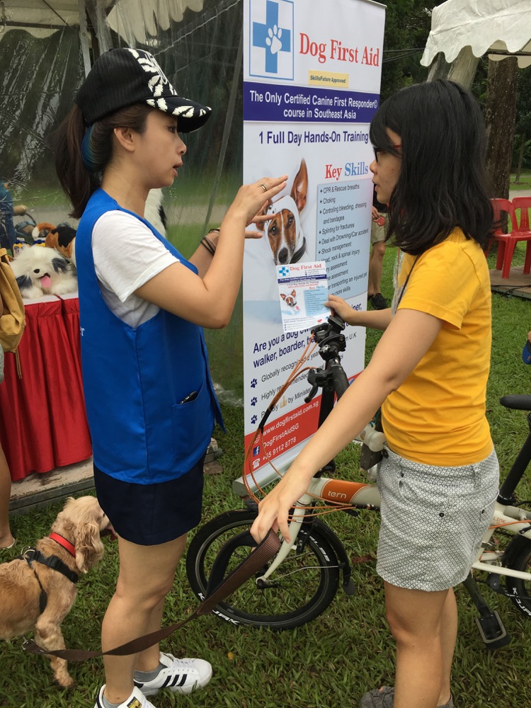 Dog First Aid’s Canine First Responder team at the Woof-A-Thon, Bishan Park, July 2017