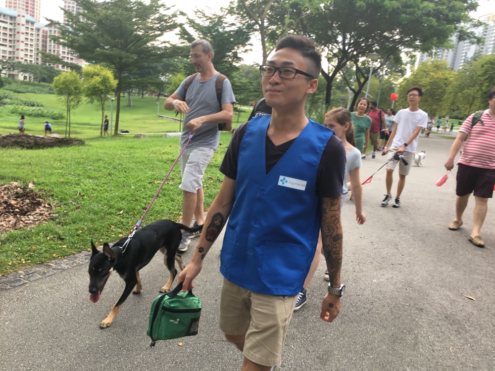Dog First Aid’s Canine First Responder team at the Woof-A-Thon, Bishan Park, July 2017