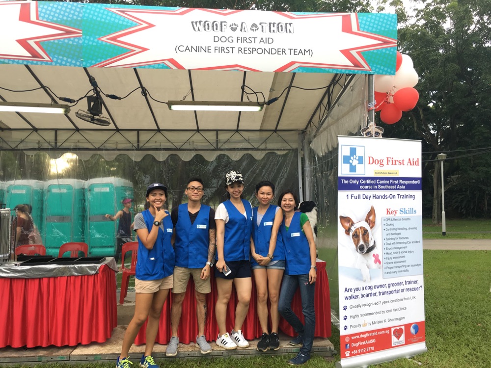 Dog First Aid’s Canine First Responder team at the Woof-A-Thon, Bishan Park, July 2017