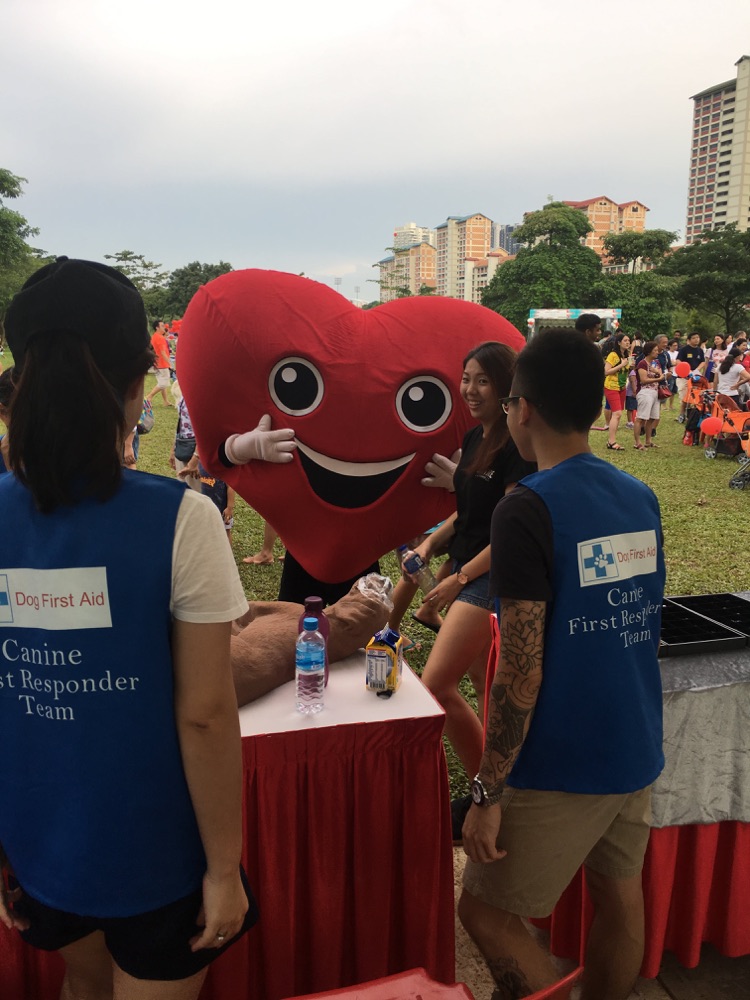 Dog First Aid’s Canine First Responder team at the Woof-A-Thon, Bishan Park, July 2017