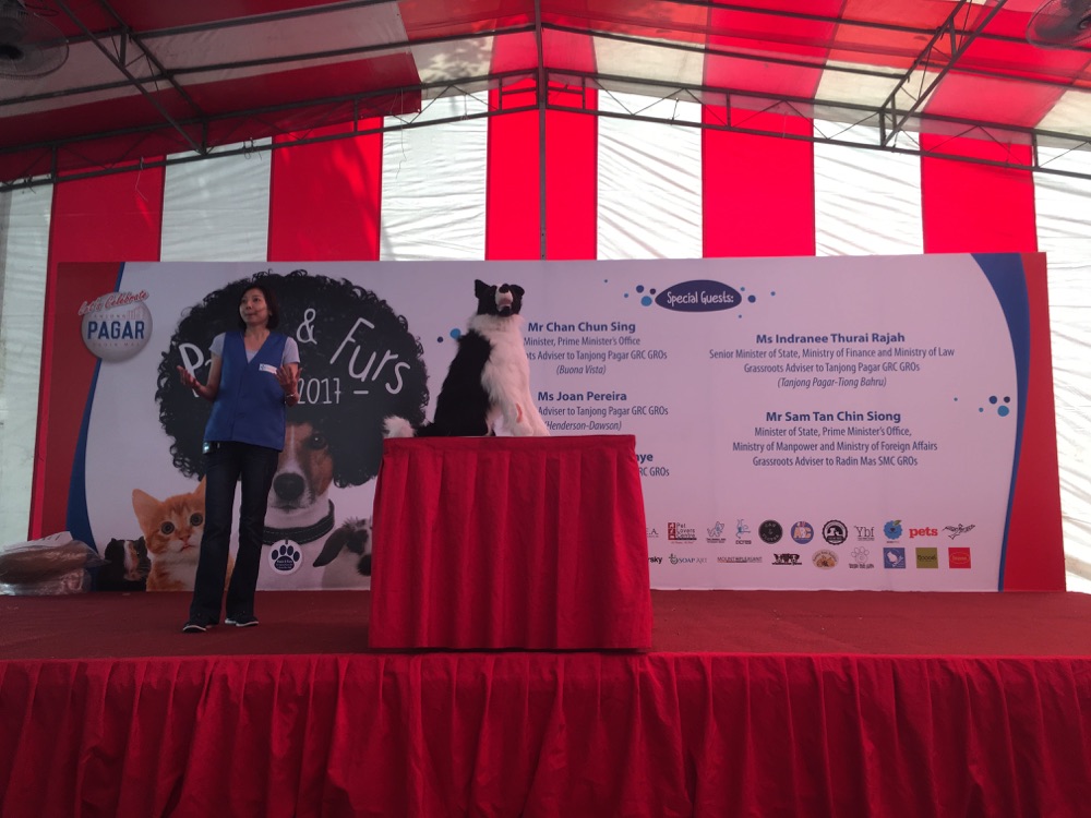 Dog First Aid’s talk and demonstration at Paws & Furs, Tanjong Pagar GRC & Radin Mas SMC, December 2017