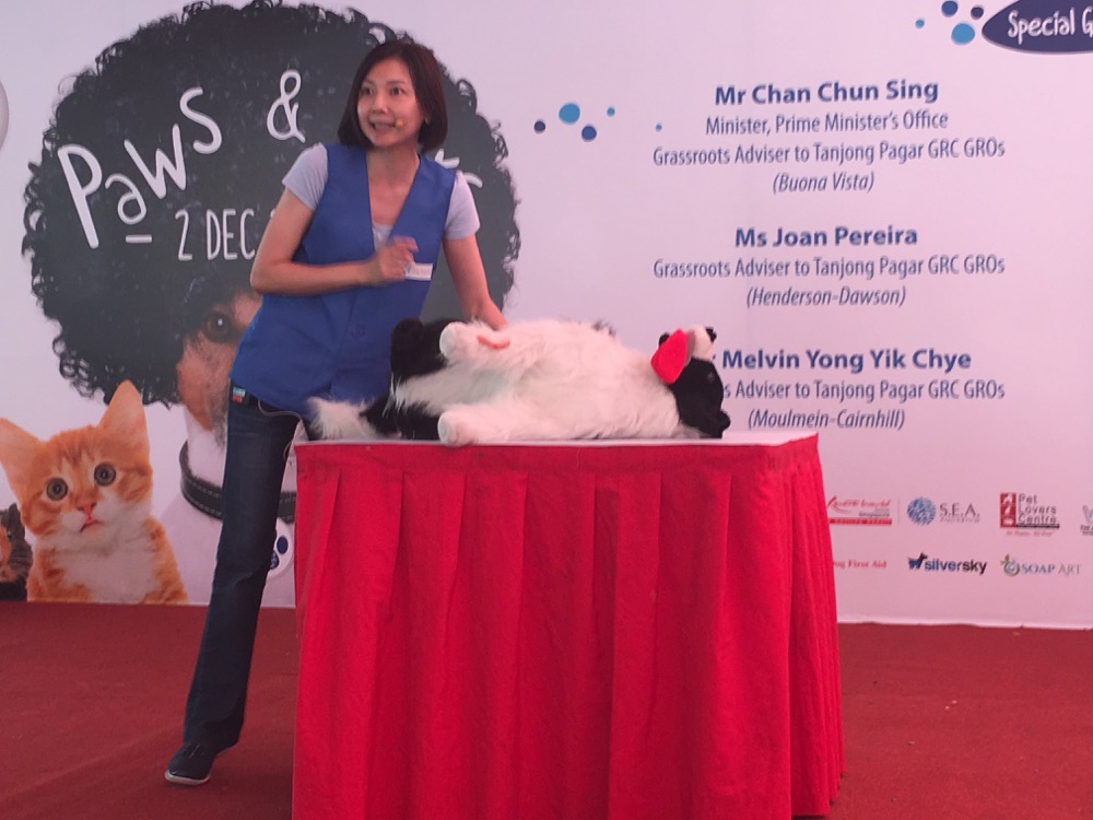 Dog First Aid’s talk and demonstration at Paws & Furs, Tanjong Pagar GRC & Radin Mas SMC, December 2017