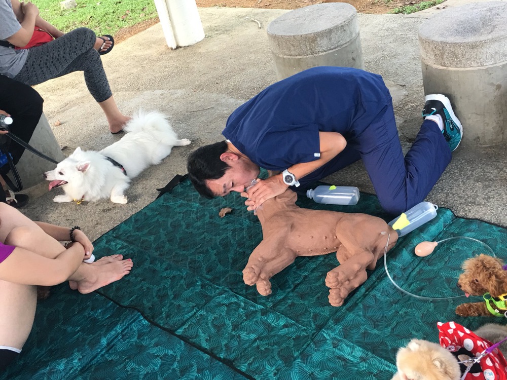 Dog First Aid sharing dog first aid with pet owners at Ohana VetCare, April 2018