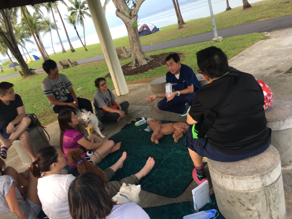 Dog First Aid sharing dog first aid with pet owners at Ohana VetCare, April 2018