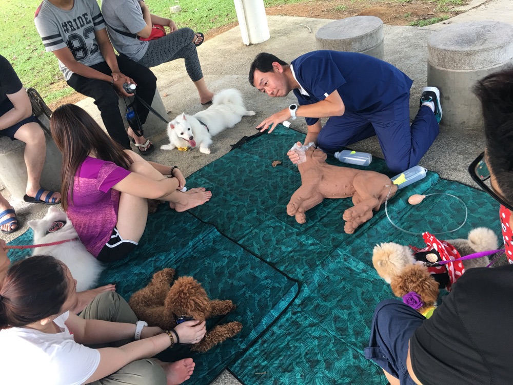 Dog First Aid sharing dog first aid with pet owners at Ohana VetCare, April 2018
