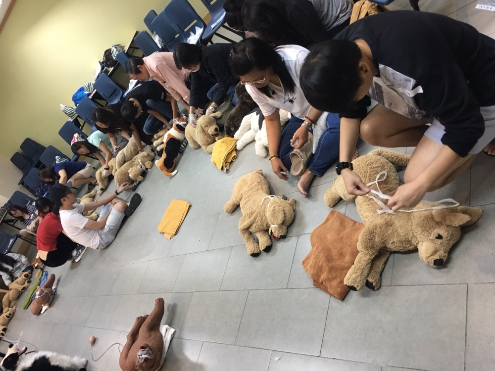 Canine First Responder orientation workshop at Toa Payoh Central Community Club, July 2018