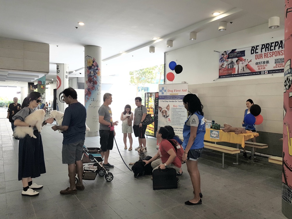 Dog First Aid’s CPR talk and demonstration at SMU Animal Day, September 2018