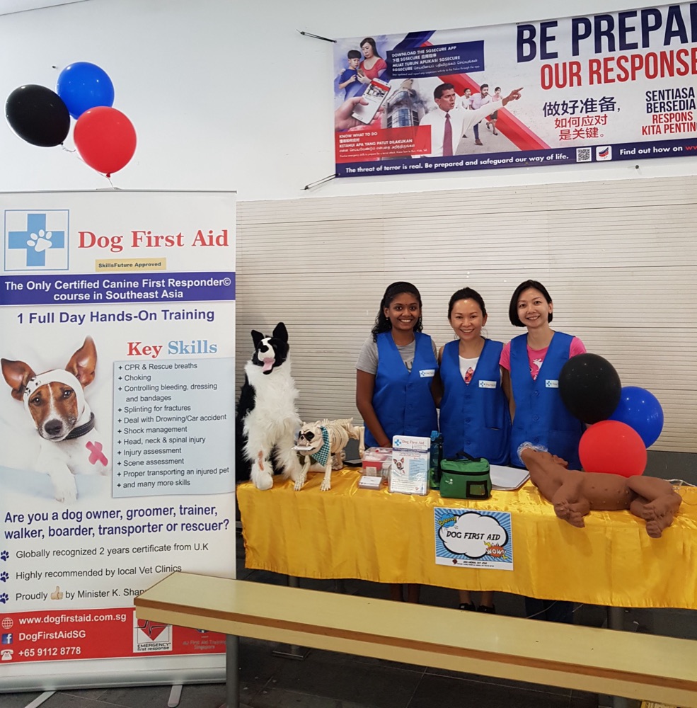 Dog First Aid’s CPR talk and demonstration at SMU Animal Day, September 2018