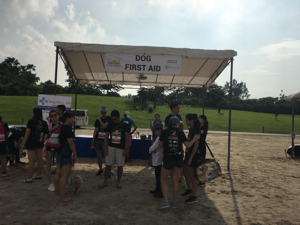 Dog First Aid’s Canine First Responder team at Walk-a-Paw, Gardens by the Bay, October 2018