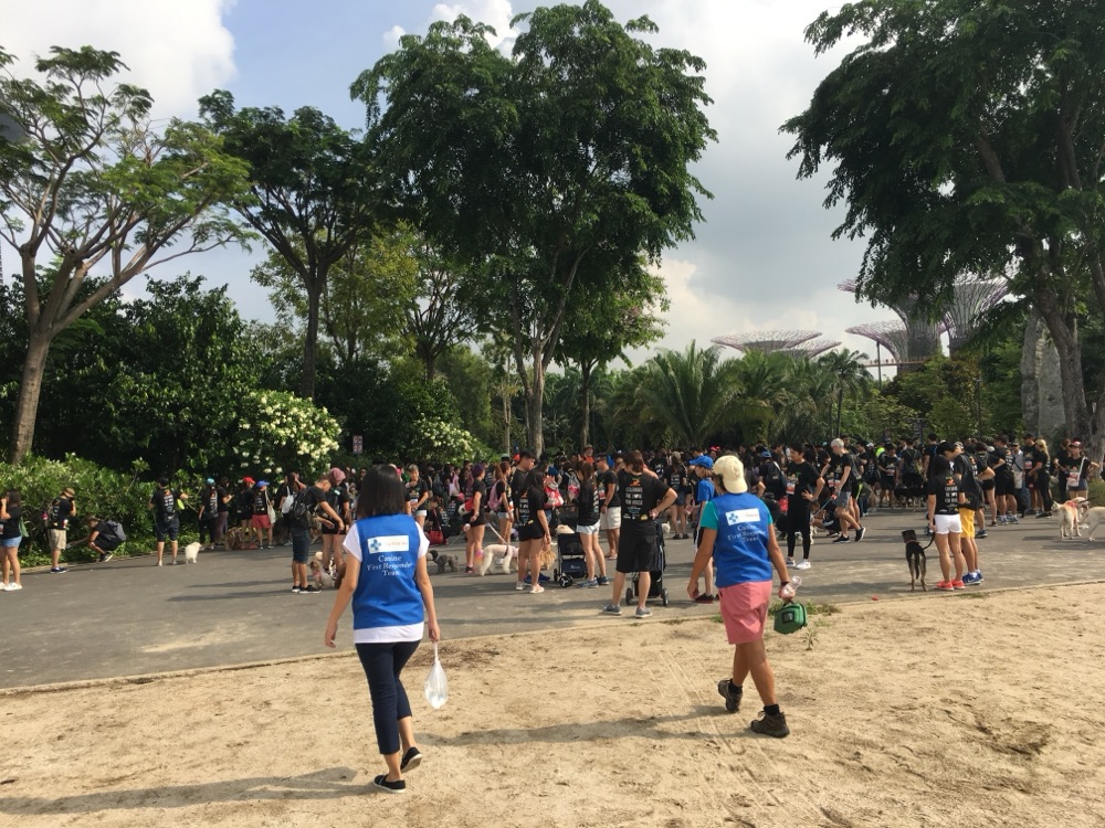Dog First Aid’s Canine First Responder team at Walk-a-Paw, Gardens by the Bay, October 2018