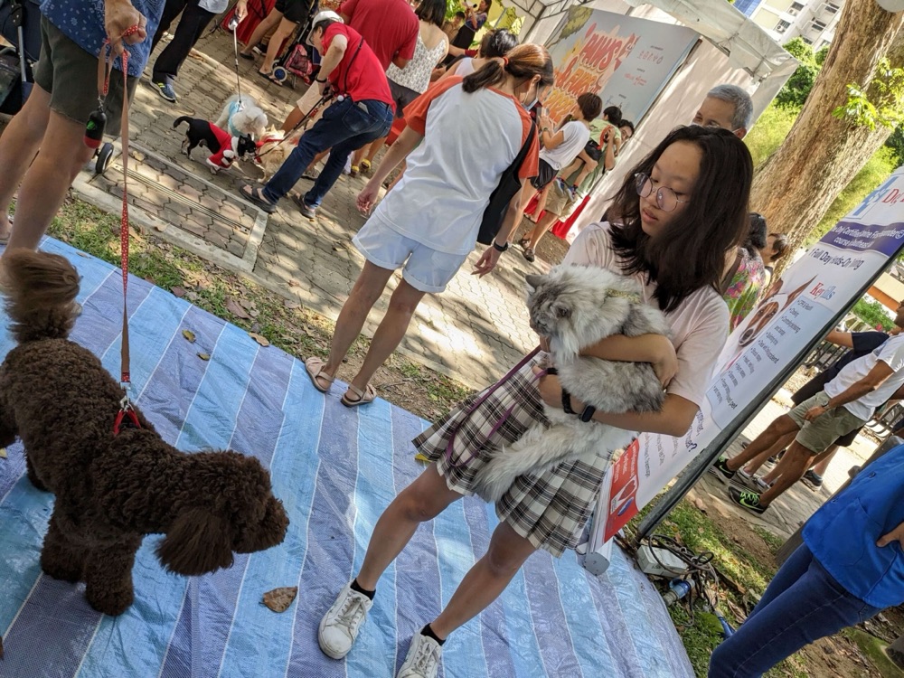 Dog First Aid’s Canine First Responder team at Paws & Furs 2022, Tanjong Pagar GRC & Radin Mas SMC