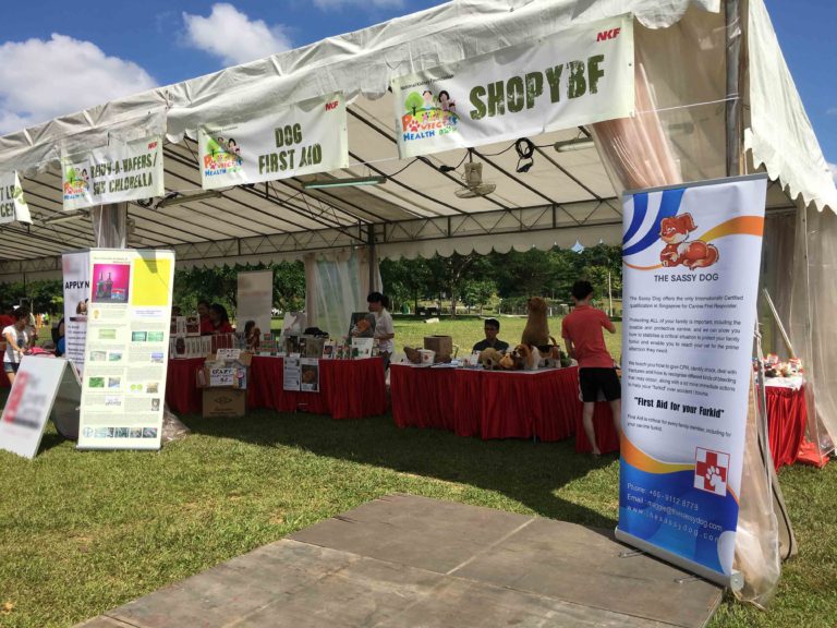 Dog First Aid’s talk at Pawfect Health Day by NKF, Bishan–Ang Mo Kio Park, March 2016