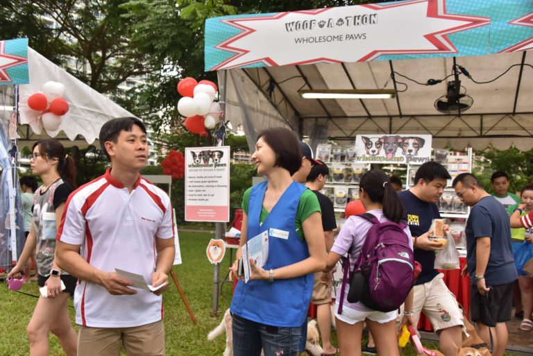 Dog First Aid’s Canine First Responder team at the Woof-A-Thon, Bishan Park, July 2017