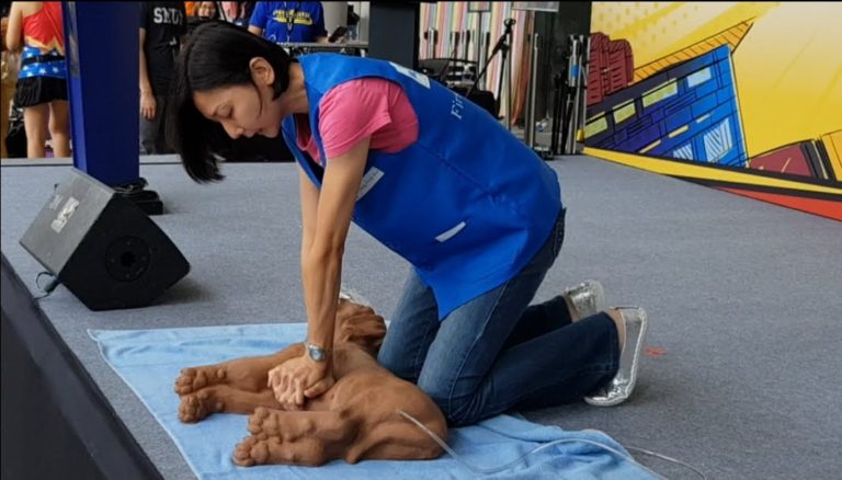 Dog First Aid’s CPR talk and demonstration at SMU Animal Day, September 2018