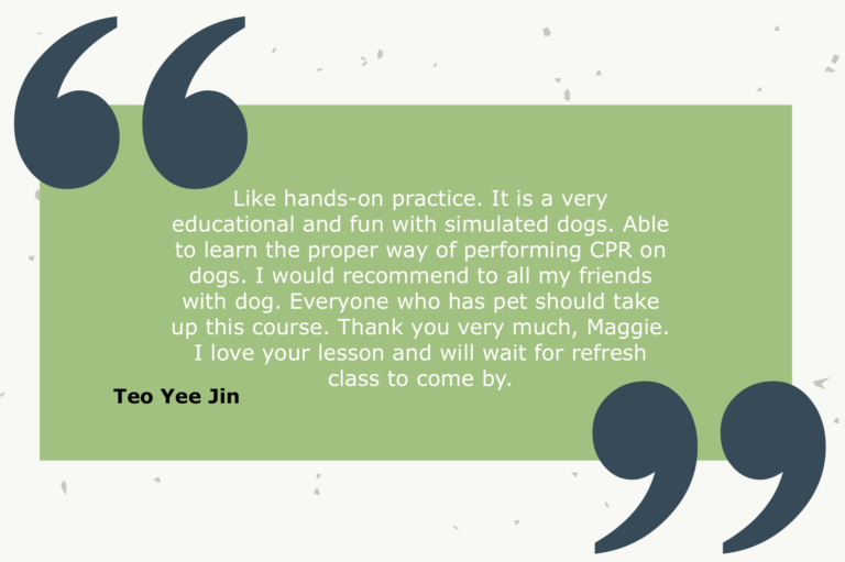 Testimonial from Teo Yee Jin: Like hands-on practice. It is a very educational and fun with simulated dogs. Able to learn the proper way of performing CPR on dogs. I would recommend to all my friends with dog. Everyone who has pet should take up this course. Thank you very much, Maggie. I love your lesson and will wait for refresh class to come by.